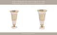Load image into Gallery viewer, Decorative Vase - Silver Metal Glass with Acrylic Base, 15in
